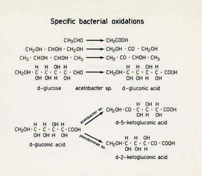 Formule sull'ossidazione batterica