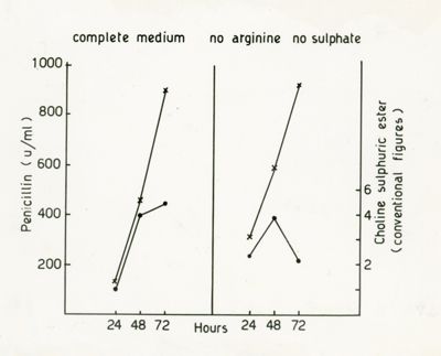 Oxazoline - Nota IV