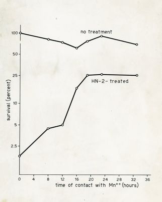 Grafico riguardante la riattivazione di comidi di Penicillium inattivati da azotoiprite