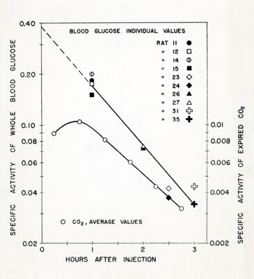 Grafici Chaikoff - metabolismo glucosio