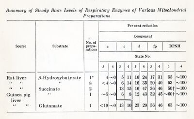 Summary of Steady State Levels of Respiratory Enzymes of Various Mitochondrial Preparations