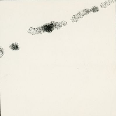 Transglucidazione in Penicillium Chrysogenum