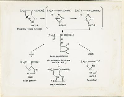 Idrolisi ed isomerizzazione della Benzil -Penicillina