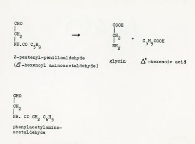 Differenti tipologie di antibiotici