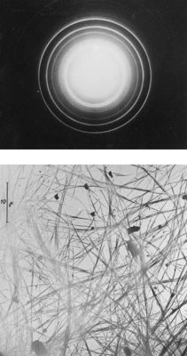 Strutture filamentose osservate al microscopio elettronico (in basso) e relativa immagine di diffrazione (in alto)
