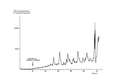 Grafico non determinabile