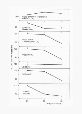 Grafici relativi alla percentuale del valore massimo dei principali parametri che descrivono lo sviluppo di una popolazione di mosche in base alla temperatura