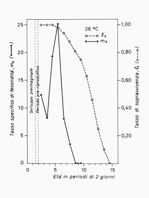 Grafico del tasso specifico di fecondità e del tasso di sopravvivenza di una colonia di mosche in base all'età degli individui in giorni, a 26°C