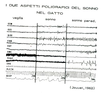 Senza titolo