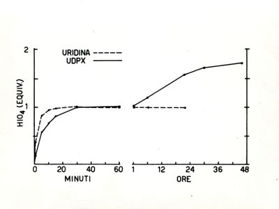 Grafici riguardanti URIDINA e UDPX