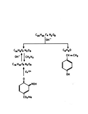 Formule di struttura