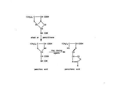 Formule di struttura di alcali o penicillinasi e di acido pecillenico