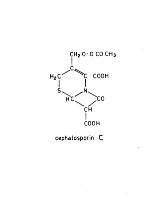 Formula di struttura della cefalosporina C