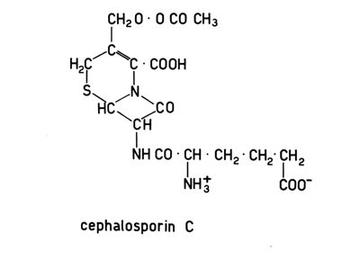 Formula di struttura della cefalosporina C