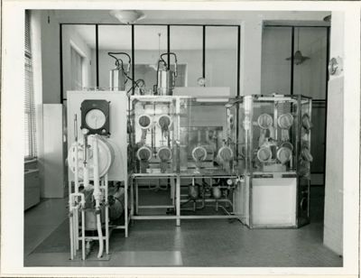 Laboratorio di Procaina