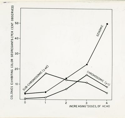 Segregazione somativa indotta da formalina in Aspergillus Nidulans