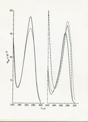 Sintesi dell'aglicone dell'acido adeccilosuccinico