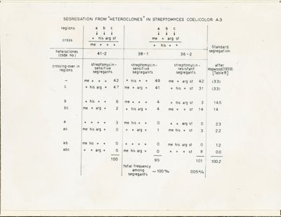 Genetica dello Streptomyces e analisi della produzione di penicillina