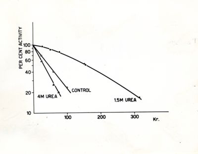 Grafico riguardante l'urea