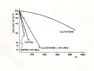 Grafico riguardante il glutatione