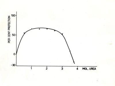 Grafico - asse delle ascisse: mol. urea; asse delle ordinate: per cent protection