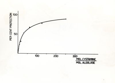 Grafico - asse delle ascisse: mol. cystamine / mol. aldolase; asse delle ordinate: per cent protection