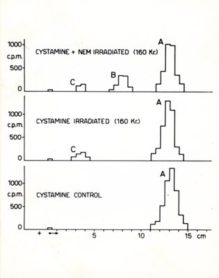 Grafico - cystamine control / cystamine irradiated (160 Kr.) / cystamine + nem irradiated (160 Kr.)