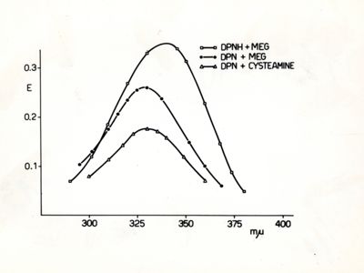 Grafico - DPNH + MEG / DPN + MEG / DPN + cystamine