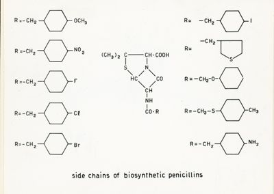 Nelle foto formule chimiche e fermentatori