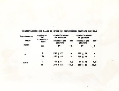 Riattivazione con 8-AZG di spore di penicillium con HN-2