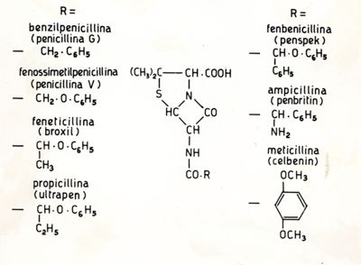 Formule chimiche e formule di struttura di benzilpenicillina (penicillina G), fenossimetilpenicillina (penicillina V), feneticillina (broxil), propicillina (ultrapen), fenbenicillina (penspek), ampicillina (penbritin) e meticillina (celbenin)