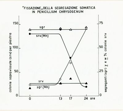 Grafici, tabelle e foto del Dr. Morpuro