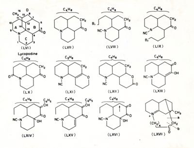 Alcaloidi Lycopodim