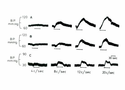 Grafici