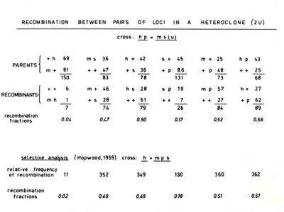 Ricombinazione genetica in Streptomyces