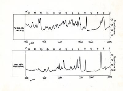 Grafico e immagini