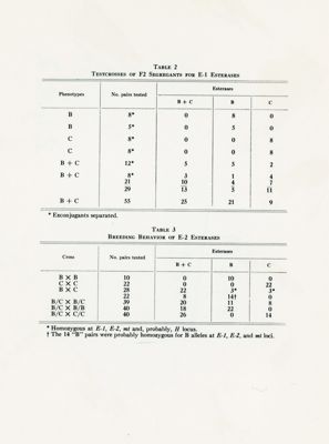 Table 2: testcrosses of F2 segregants for E-1 esterases; Table 3: breeding behavior of E-2 esterases