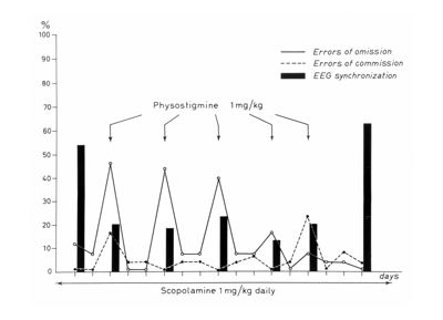 Grafici, tabelle, formule chimiche, diapositive e messaggi di testo