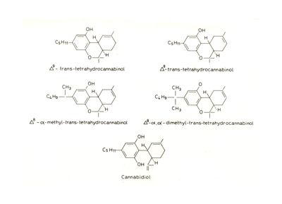 Grafici e formule chimiche