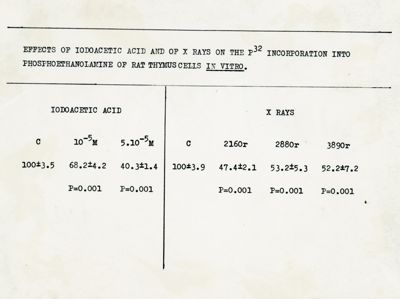 Effetti dell'acido iodoacetico e dei raggi X sull'incorporazione di P32 nella fosfoetanolamina nelle cellule del timo di ratto in vitro