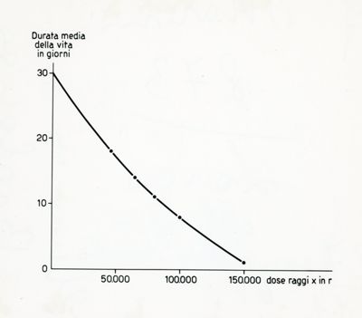 Effetti di raggi X in mosca domestica