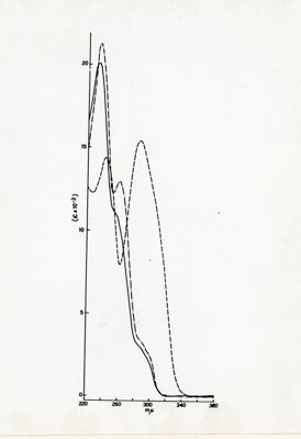 Studio sulla struttura della Ferroverdina