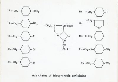 Circolazione cerebrale seriografica