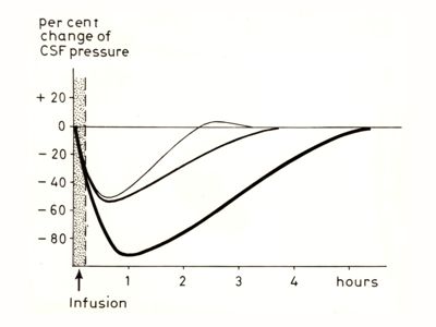 Grafici