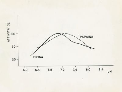 Grafico riguardante la Ficina e la Papaina