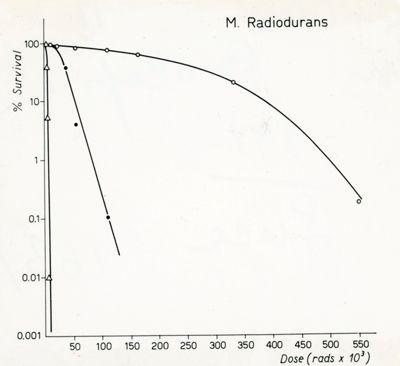 Grafico riguardante il Microbacterium radiodurans