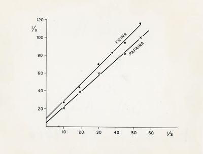 Grafico riguardante la Ficina e la Papaina