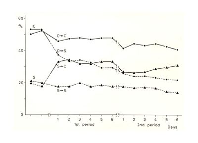 Grafici