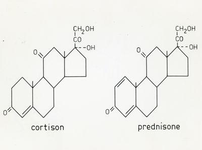 Formule di struttura di Cortisone e Prednisone