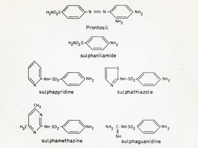 Formule di struttura del Prontosil, della Sulfanilamide, della Sulfapiridina, del Sulfatiazolo, della Sulfadimidina e della Sulfaguanidina